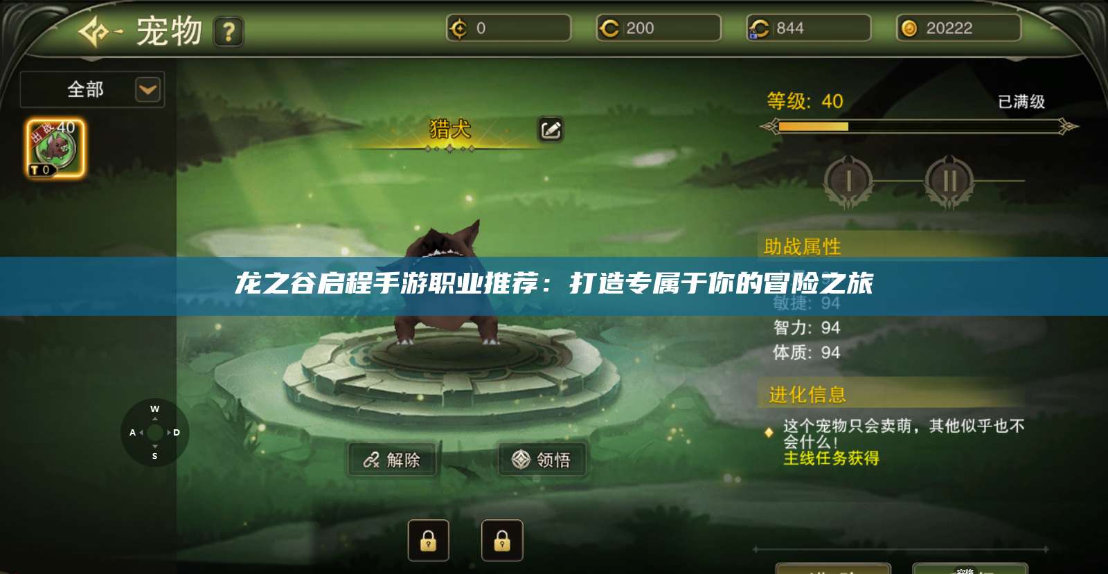 龙之谷启程手游职业推荐：打造专属于你的冒险之旅